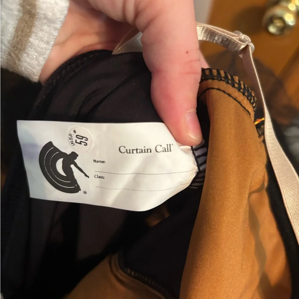 Black and Bronze Ballet Costume - Picture 6 of 6